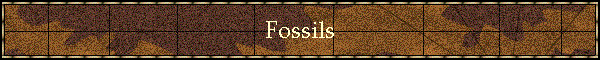 Fossils