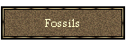 Fossils