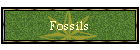 Fossils